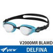 画像1: VIEW fina承認 スイミングゴーグル DELFINA V2000MR ブルーレンズ/ミラー (1)