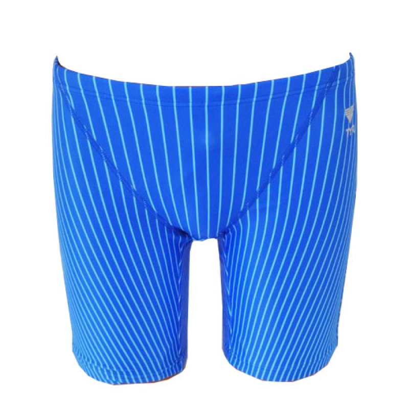 画像1: 【アウトレット】TYR×GUARD　男性水着　ストライプ　ジャマー ハーフパンツ (1)