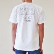 画像6: GUARD 綿100%Tシャツ MOYAI (6)