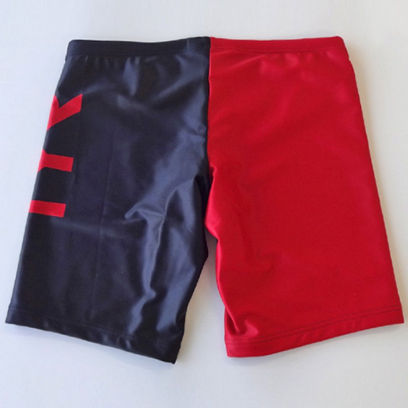 画像3: TYR メンズ練習用競泳水着 ツートーンカラー｜GUARD限定デザイン ジャマータイプ (3)