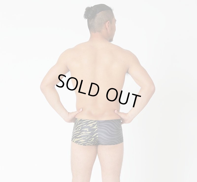画像3: 【ネコポス対象商品】【アウトレット】【Sサイズのみ】TYR メンズ練習用競泳水着 園田モデル アニマル｜高伸縮＆GUARD限定デザイン ボックス型 (3)