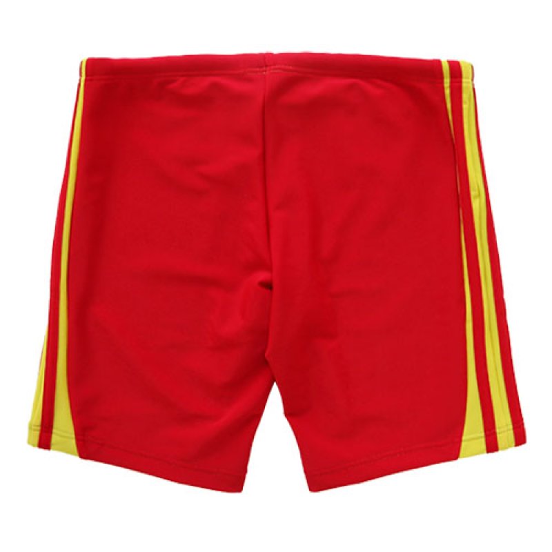 画像5: 【アウトレット】TYR メンズ練習用競泳水着 LIFEGUARD-LINE|GUARD限定デザイン ジャマータイプ (5)