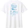 画像5: 2023年 第20回 湘南オープンウォータースイミング大会記念 ドライTシャツ (5)