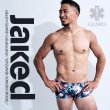 画像1: Jaked (ジャケッド) / 園田モデル水着_Magma (ボクサー) 男性 水着 競泳 (1)