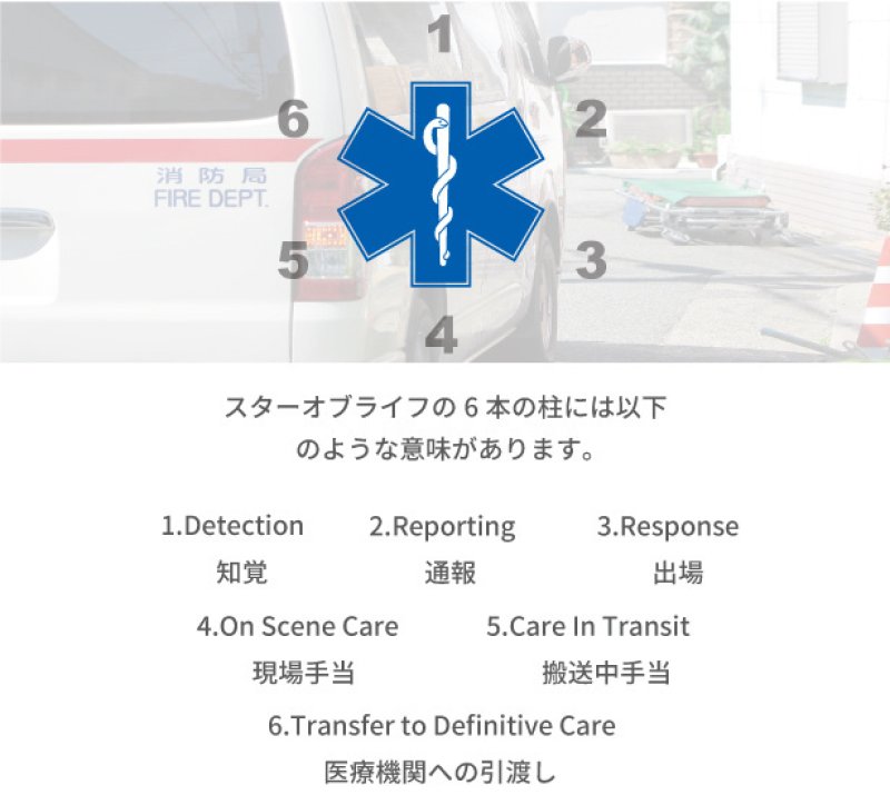 画像4: スターオブライフ マグネット 30cm (4)