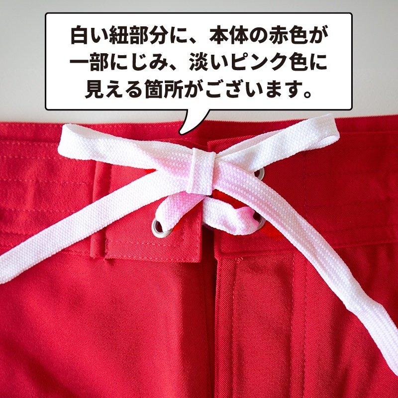 画像4: 【在庫限り 30%OFF】XSサイズのみ GUARD(ガード)オリジナル　スターオブライフ（star of life）入り ガードパンツ　ライフガード サーフパンツ (4)