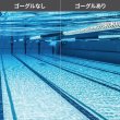 画像2: 【World Aquatics承認】SWANS ASCENDER SR-81NPAF-CLA｜レーシングゴーグル ノーマルタイプ (2)