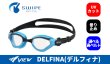 画像1: VIEW fina承認 スイミングゴーグル DELFINA V2000SA CAM クリアレンズ (1)