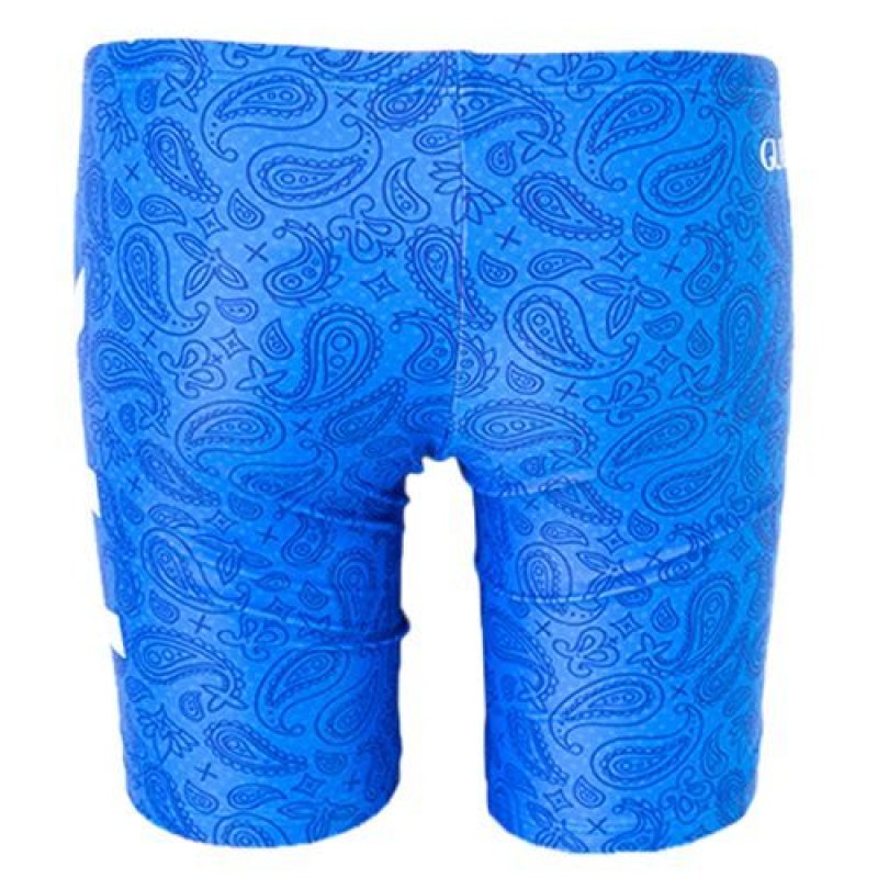 画像5: 【アウトレット】TYR メンズ練習用競泳水着 園田モデル ペイズリー|GUARD限定デザイン ジャマータイプ (5)
