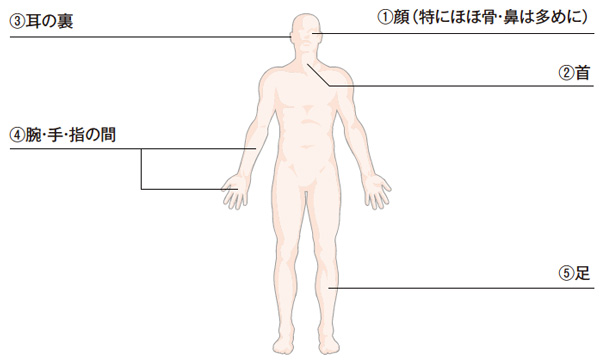 日焼け止めを塗る場所