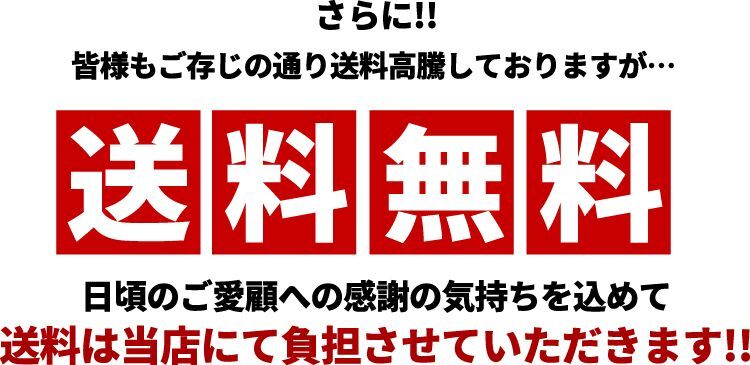 送料無料 送料は当店にて負担させていただきます！